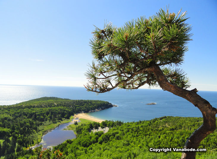 acadia National Park beehive hike view of the ocean