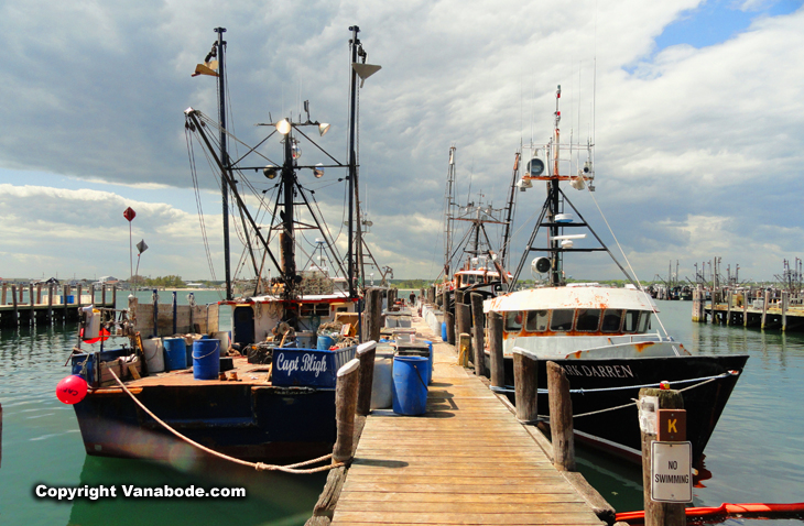 wharf of fishing boats in galilee ri