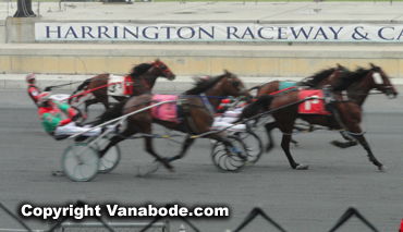 Harrington for harness racing