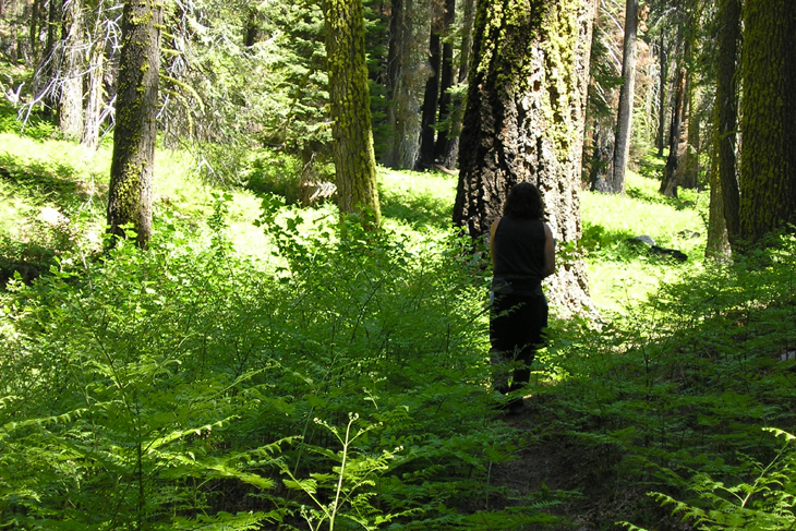 picture of hiker on kings canyon north boundary trail