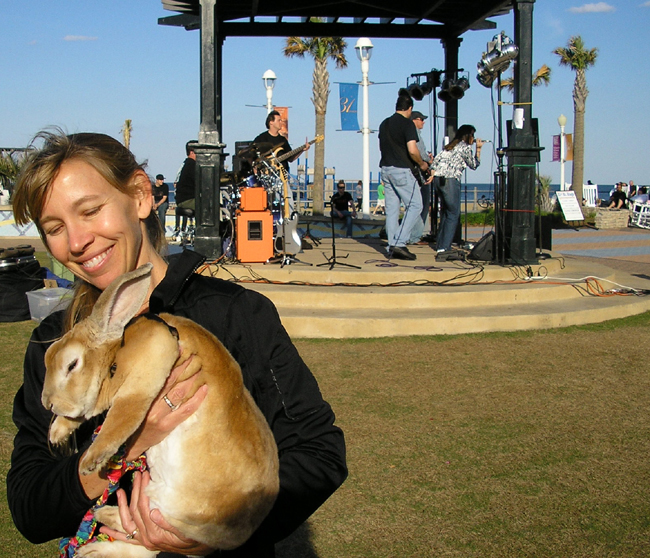 A picture of a band playing at 31st street in Virginia Beach